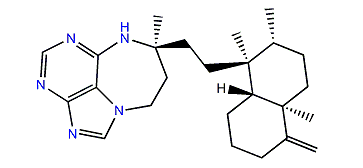 Asmarine H